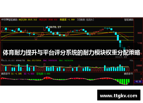 体育耐力提升与平台评分系统的耐力模块权重分配策略